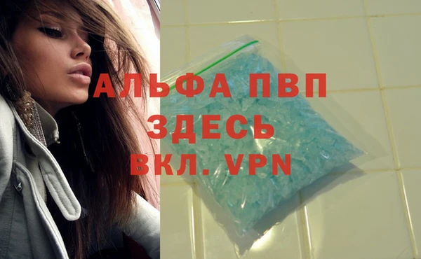 гидра Богородск