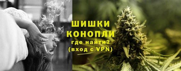 гидра Богородск