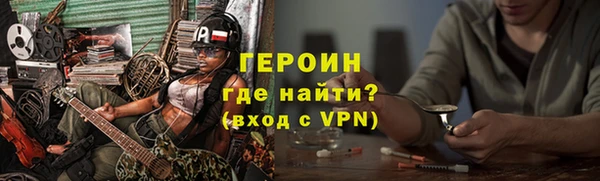 гидра Богородск