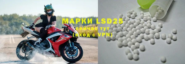 гидра Слюдянка