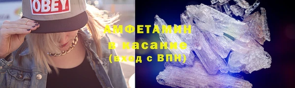 гидра Богородск