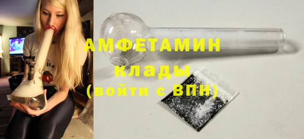 гидра Богородск