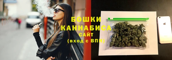 гидра Богородск